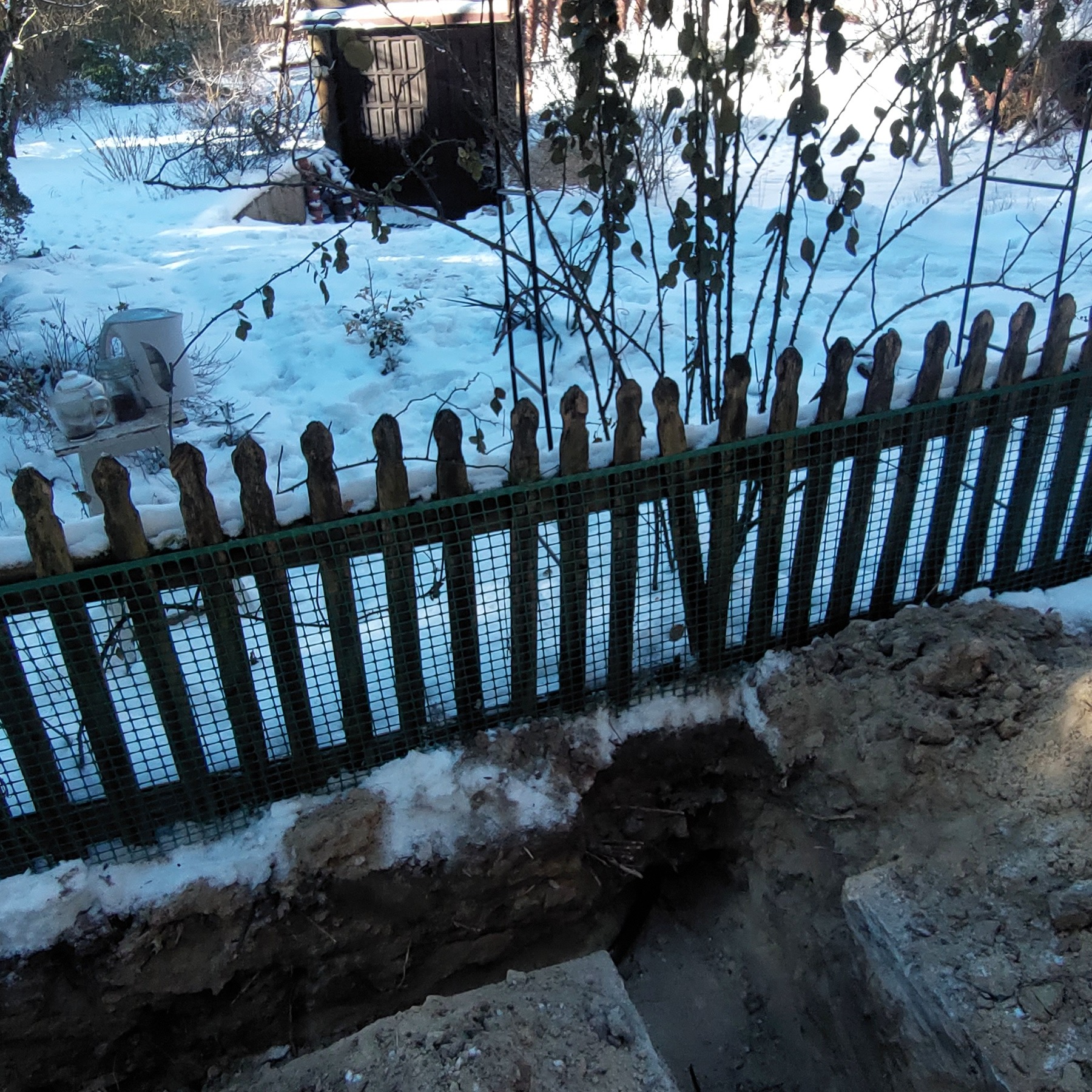 Wykop w ziemi, częściowo zasypany śniegiem, widoczny zza drewnianego płotu w zimowej scenerii ogrodu. W tle zasypany śniegiem teren i budynek.