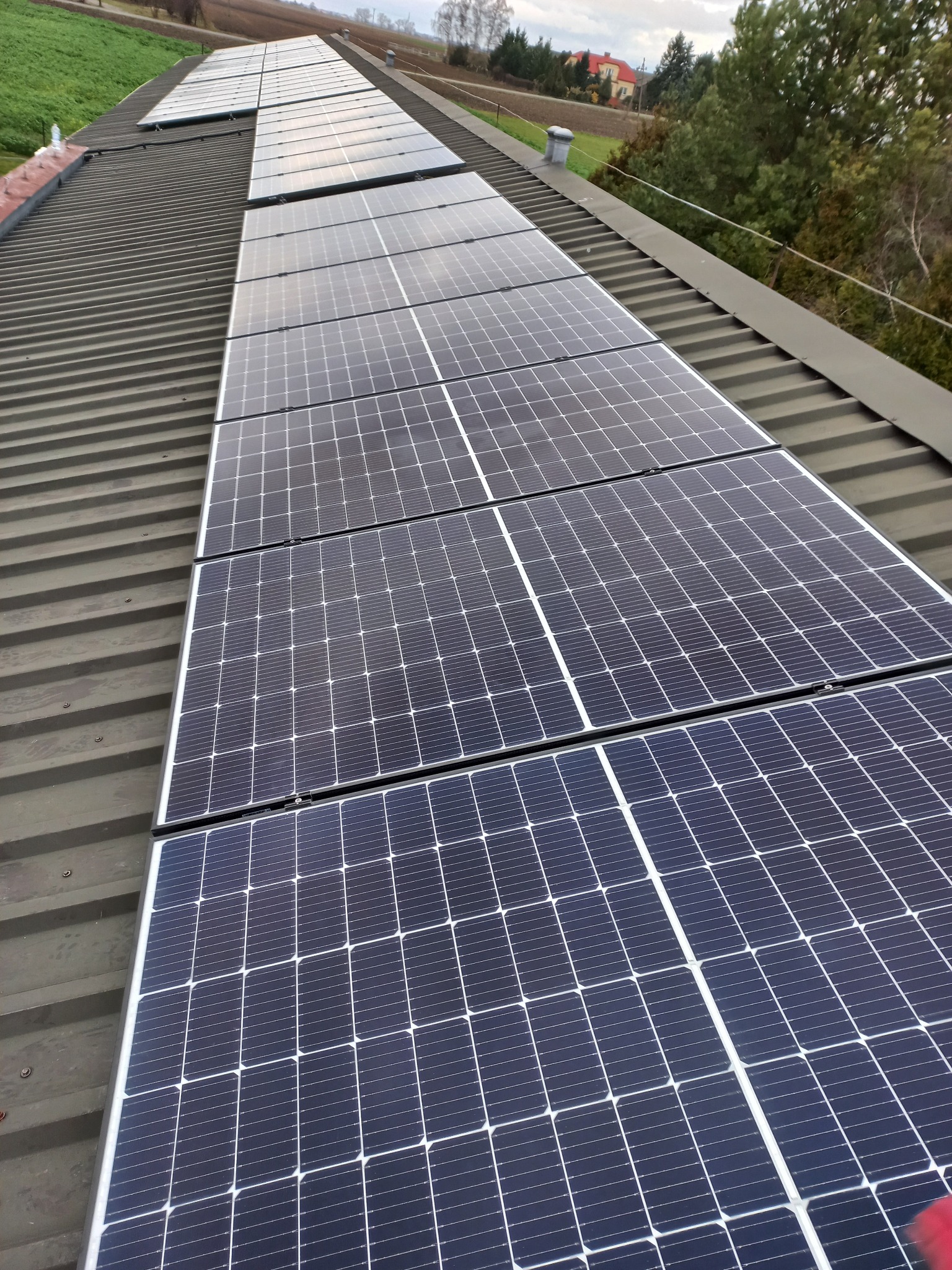 Panele fotowoltaiczne na dachu w Toruniu, widok z góry. Szereg paneli zamontowanych na szarym, metalowym dachu, z zielonym tłem drzew i budynków w oddali.