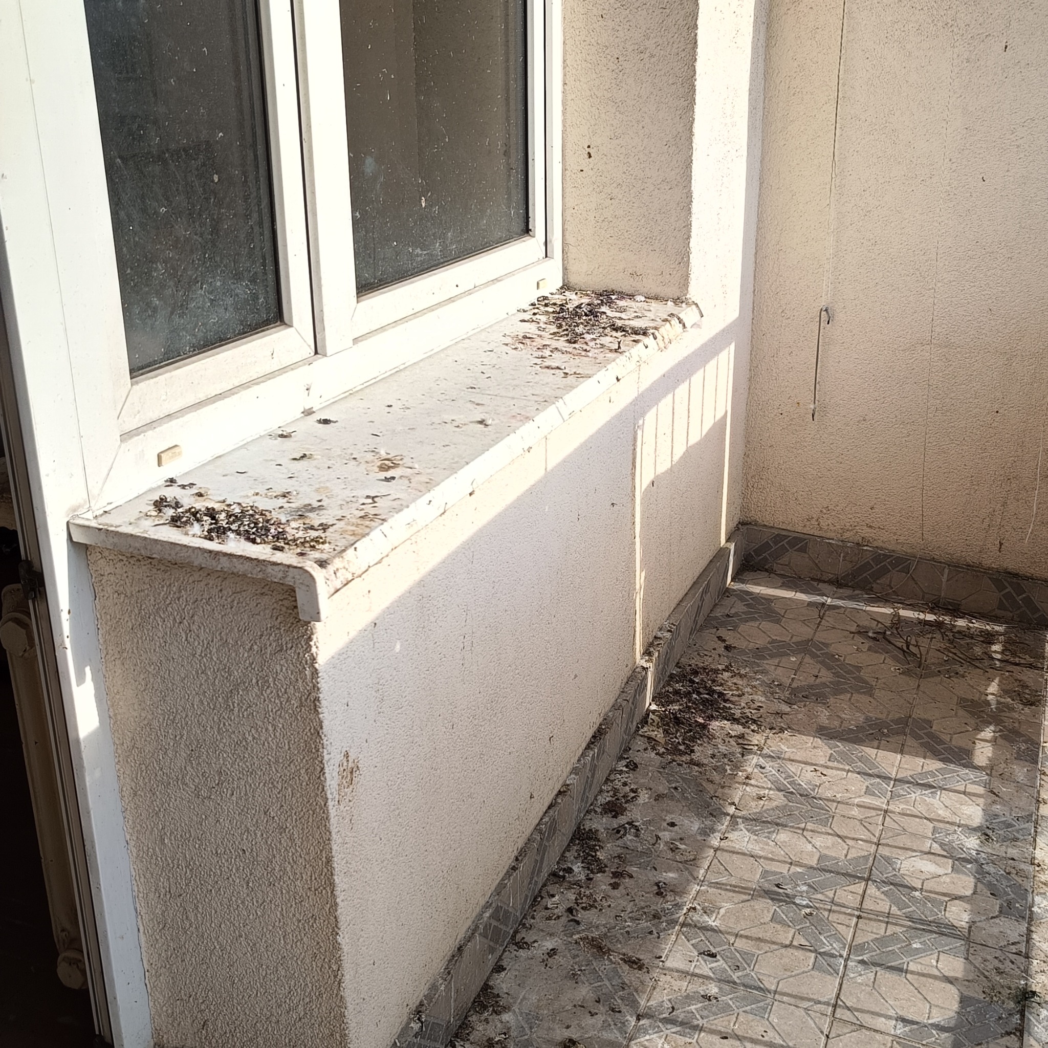 Zanieczyszczony balkon z brudnymi oknami i parapetem, wymagający sprzątania. Widoczne ptasie odchody na powierzchniach. Jasne światło dzienne podkreśla zabrudzenia.
