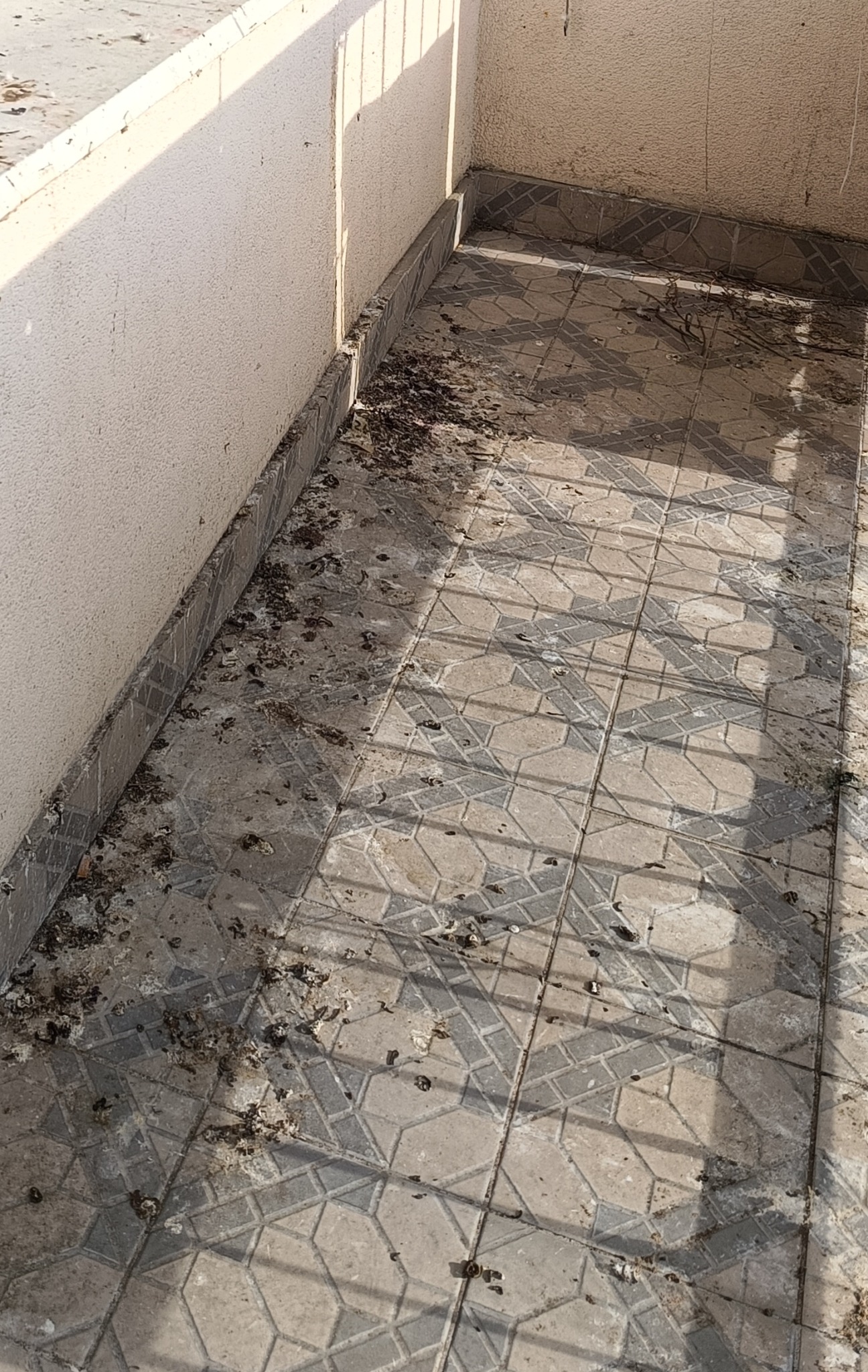 Zanieczyszczony ptasimi odchodami balkon z szarymi płytkami, widoczne promienie słońca i cień barierki. Zaniedbana przestrzeń wymaga gruntownego wysprzątania.