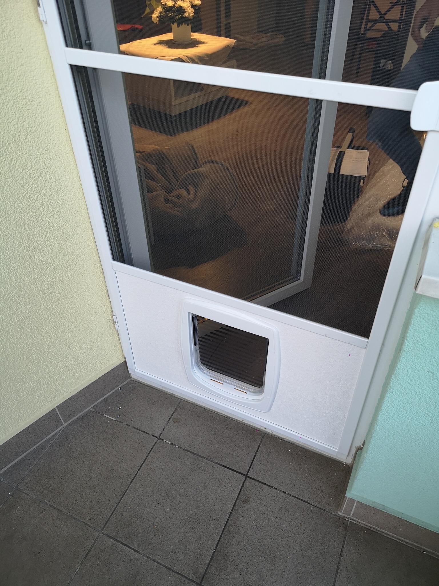 Biała moskitiera z klapką dla zwierząt, zamontowana w drzwiach balkonowych. Widoczny fragment wnętrza z kwiatami i poduszką na podłodze. U dołu szare płytki balkonowe.