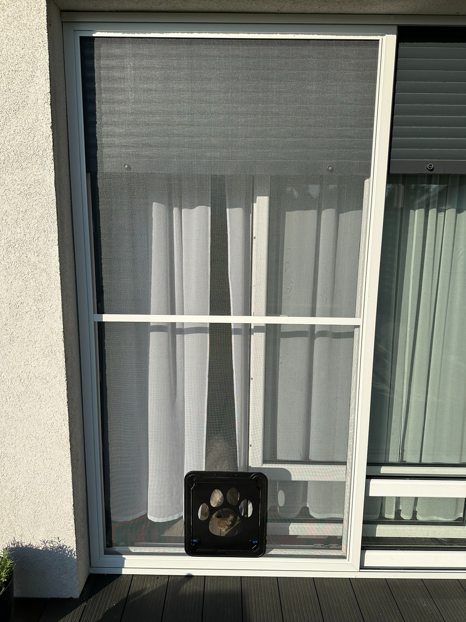 Biała moskitiera z otworem dla zwierząt domowych w oknie, z widoczną zasłoną w tle i fragmentem rolety zewnętrznej po prawej stronie.