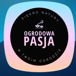 Work now Aneta Barszcz - Drenaż Opaskowy Radom