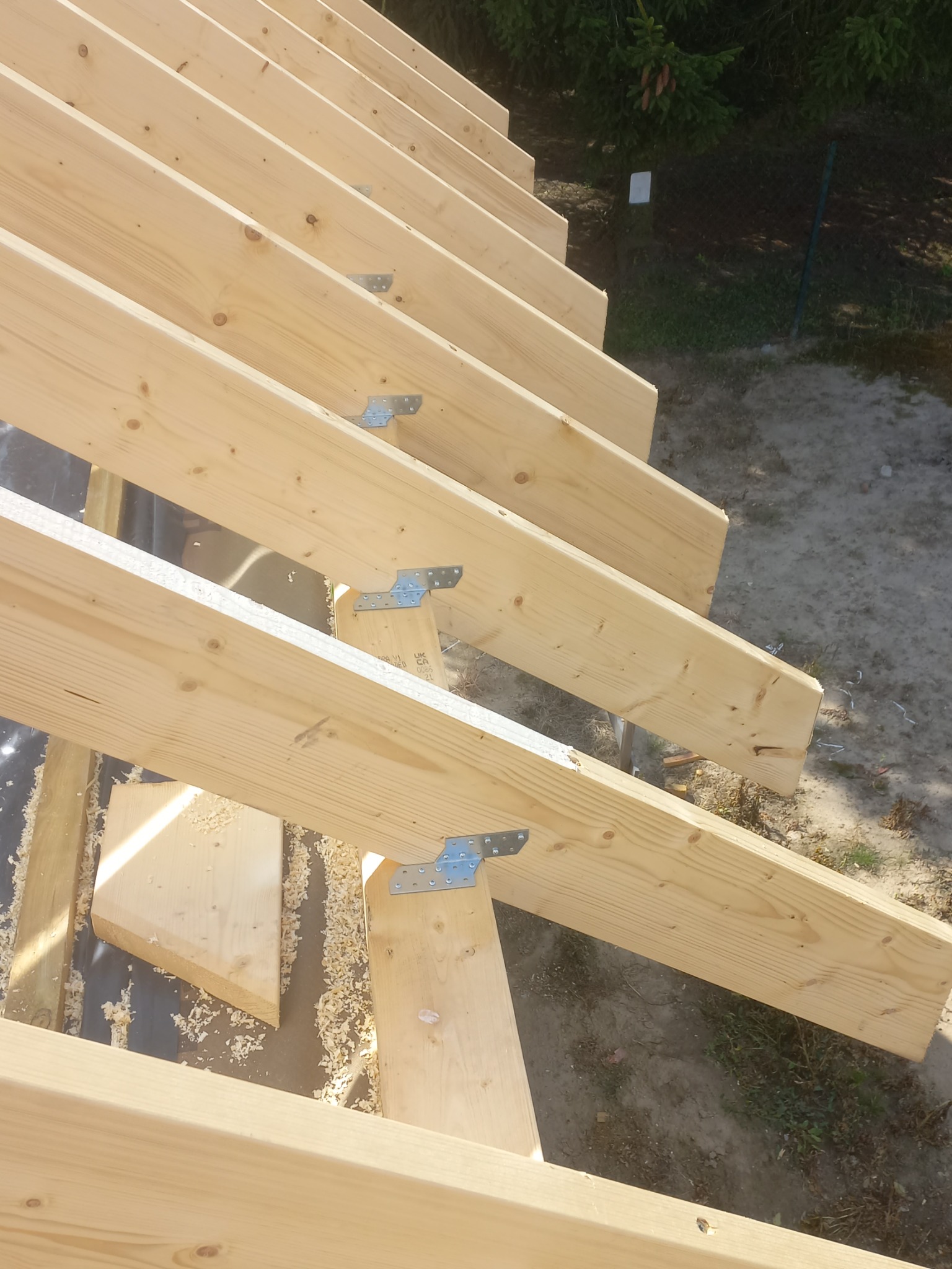 Jasne drewniane krokwie dachu połączone metalowymi łącznikami, widoczne w zbliżeniu z góry, z wiórami na czarnej membranie dachowej i zielenią w tle.