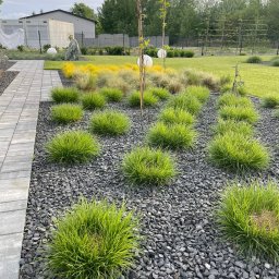 Ekspert ogrodu - Nowoczesny ogród z ozdobnymi trawami i szarą korą kamienną, oświetlony kulistymi lampami. Widok na uporządkowaną przestrzeń z elementami architektury.