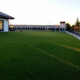 Rozległy trawnik z rolki przed domem z szarym ogrodzeniem panelowym i ozdobnymi drzewkami. W tle widoczny domek dla dzieci i robot koszący.