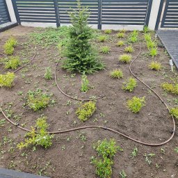 Układanie kostki brukowej Poznań 1