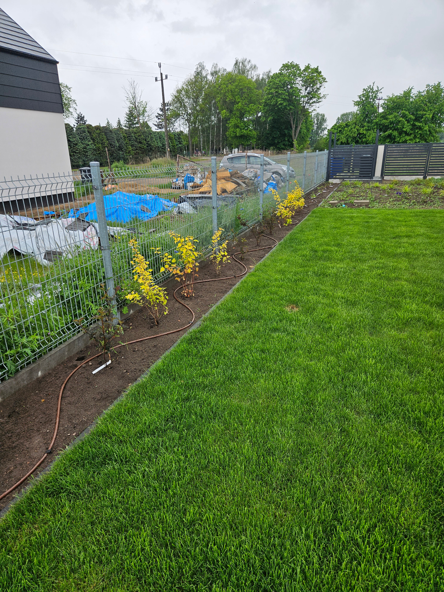 Nowoczesny ogród z siatkowym ogrodzeniem, świeżo posadzonymi krzewami i systemem nawadniania, z widocznymi pracami ziemnymi w tle. Zadbany trawnik.