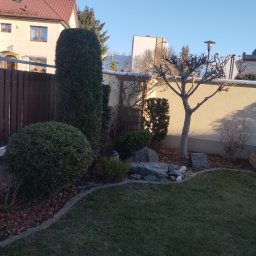 Tomek Serafiński - Projektowanie Zieleni Wizna