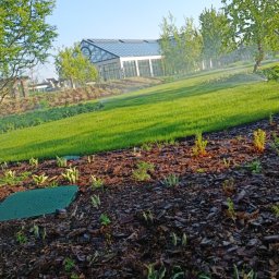 Pielęgnacja ogrodów Mszczonów 2