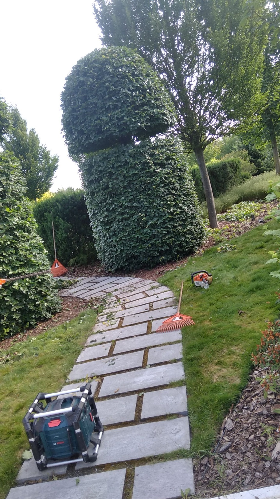 Kreatywne przycinanie krzewu w ogrodzie, formowanie w unikalny kształt. Na ścieżce leżą narzędzia ogrodnicze, m.in. grabie i akumulatorowa kosiarka.