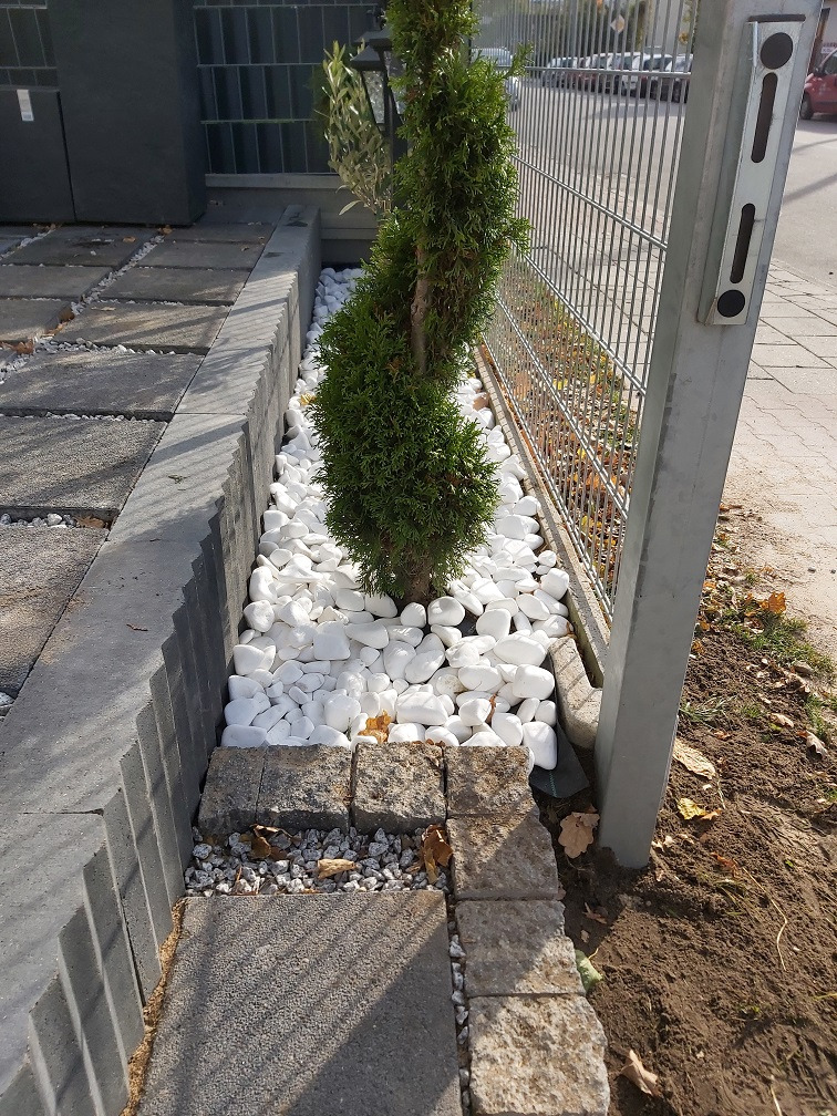 Aranżacja rabaty z tujami i białymi kamieniami, obrzeże z kostki granitowej i betonowej, szara metalowa siatka ogrodzeniowa w tle.