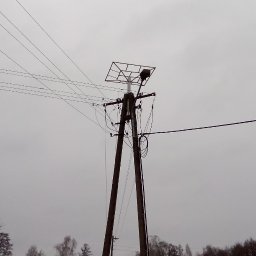 energon - Słup energetyczny z dwoma drewnianymi nogami, licznymi przewodami, lampą uliczną i konstrukcją pod panel słoneczny, na tle pochmurnego nieba i wiejskiego krajobrazu.