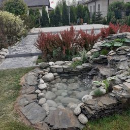 Oczka wodne Wrocław 1