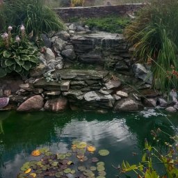 Oczka wodne Wrocław 2