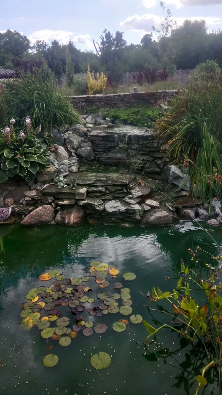 Oczko wodne z kaskadą, kamieniami i liliami wodnymi. Dekoracyjne figurki żab na kamieniach. Bujna roślinność wokół. Woda o zielonkawym odcieniu.