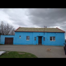 JACEK KRÓLCZYK STELLARIS - Niebieski dom z częściowo zdjętym dachem, widoczne krokwie. Na chodniku pies. Widok na budynek z zewnątrz, pochmurne niebo w tle.