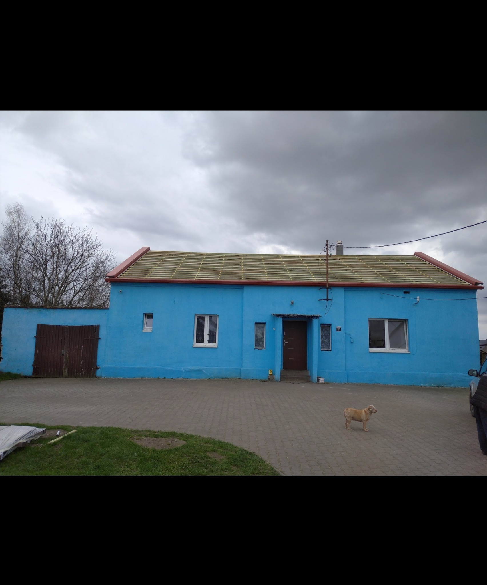 Niebieski dom z częściowo zdjętym dachem, widoczne krokwie. Na chodniku pies. Widok na budynek z zewnątrz, pochmurne niebo w tle.