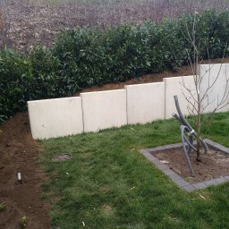 Sadzenie drzew Filipów Czwarty 4