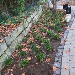 Manufaktura Ogrodów Mariusz Koniszewski - Zagospodarowanie terenu zieleni