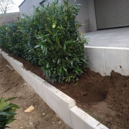 Manufaktura Ogrodów Mariusz Koniszewski - Świeżo posadzone krzewy wzdłuż betonowego murku, widoczne przygotowane dołki i ręka w rękawicy trzymająca sadzonki. Tło stanowi budynek z szarym garażem.