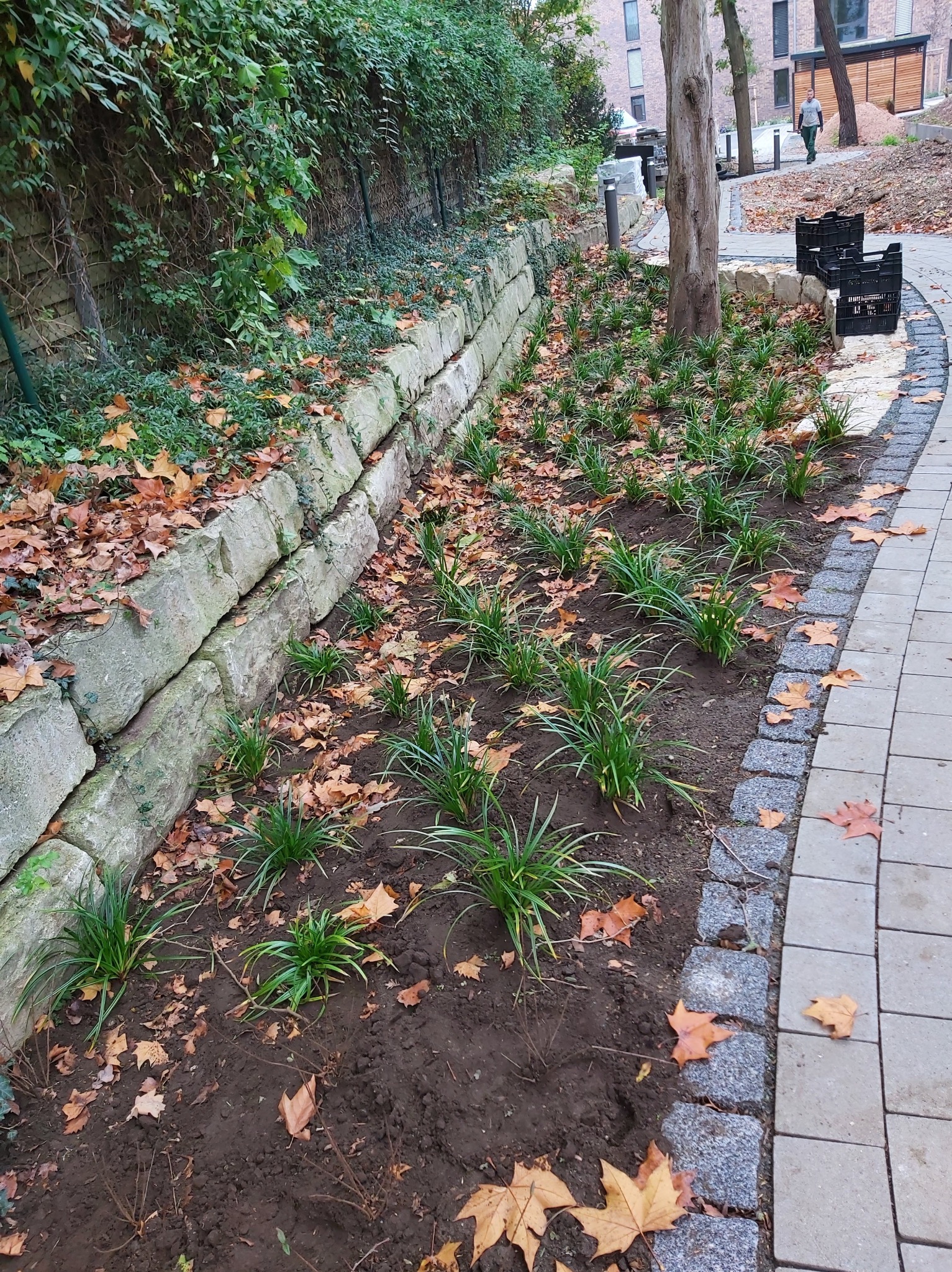 Zagospodarowanie terenu zieleni