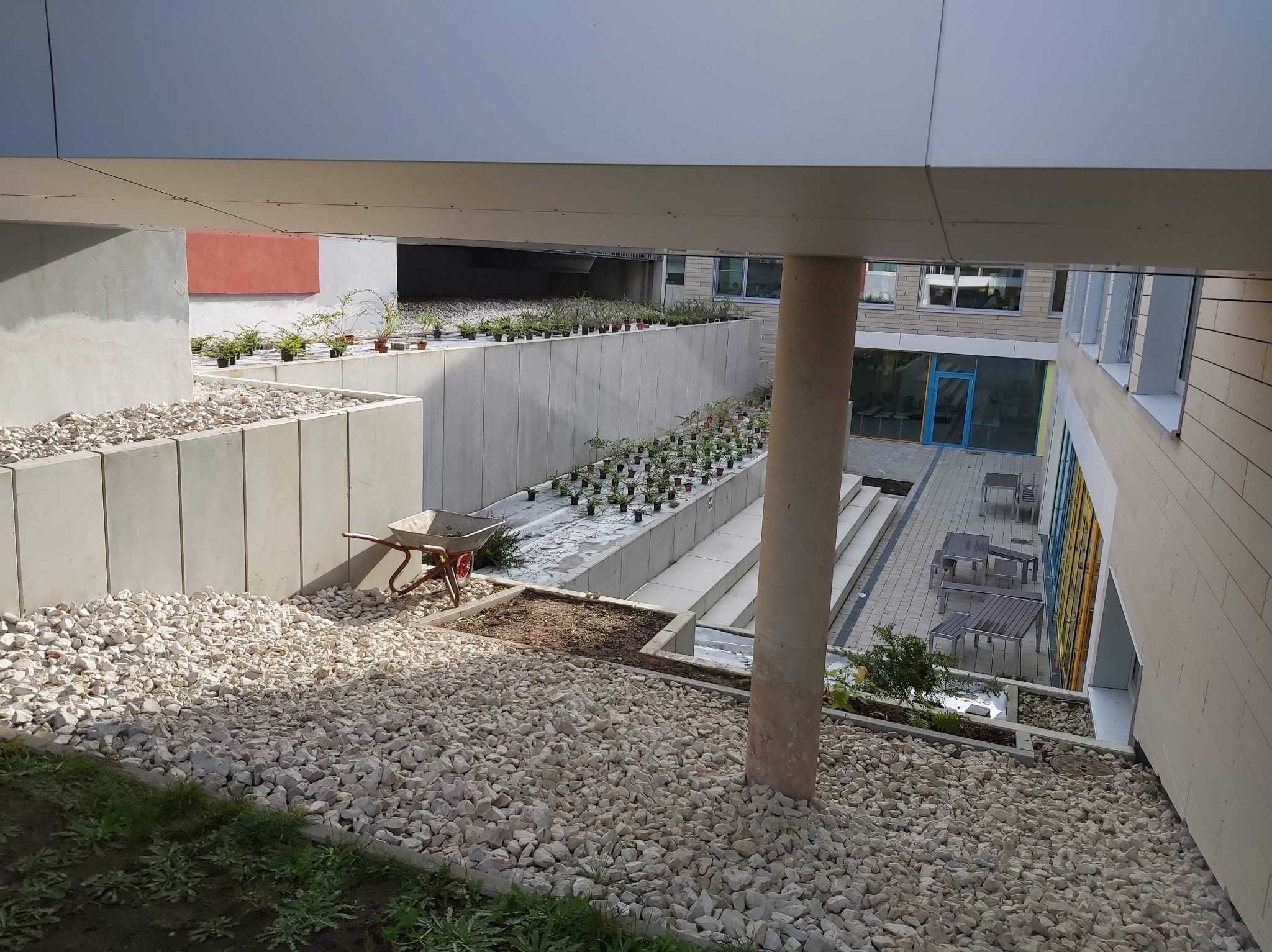 Wewnętrzny dziedziniec z nasadzeniami, wyłożony białym kamieniem, z widocznym wózkiem i rzędami roślin w doniczkach. Nowoczesna architektura w tle.