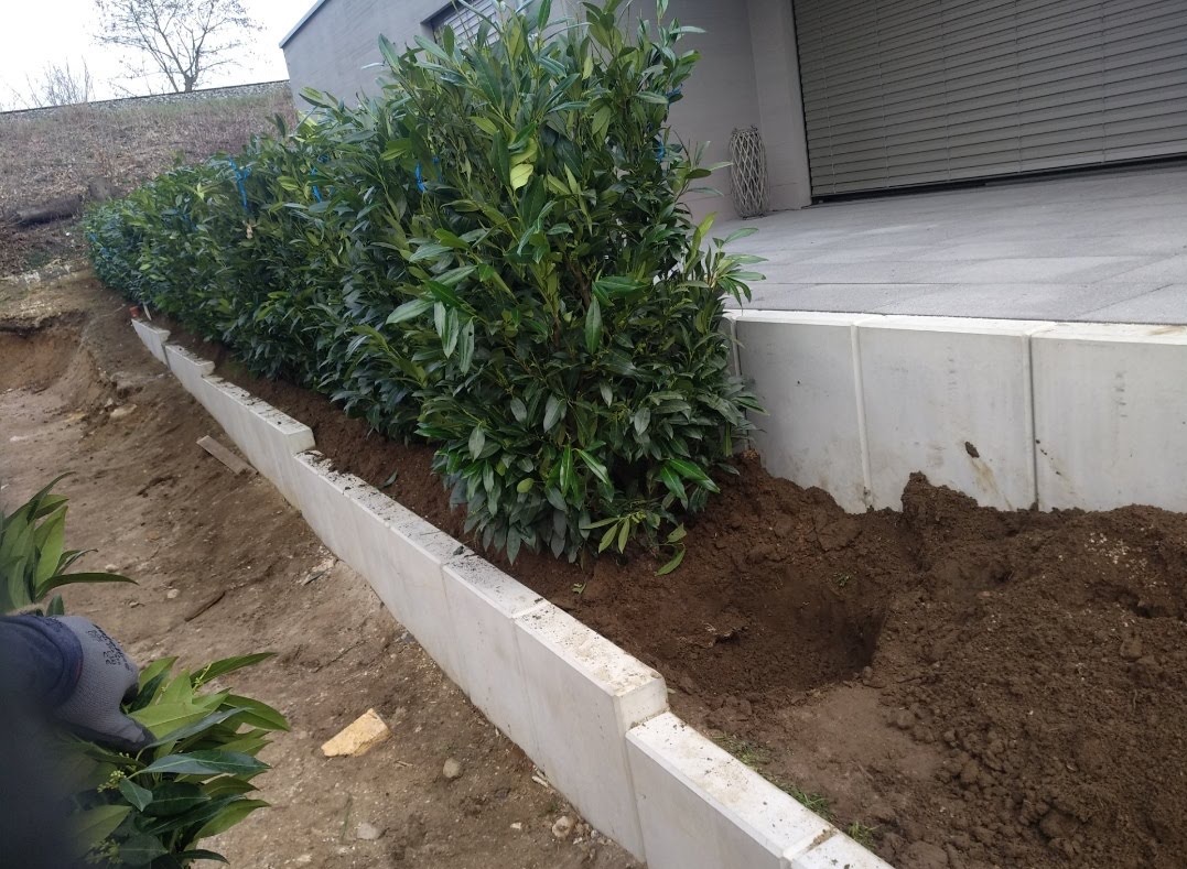 Świeżo posadzone krzewy wzdłuż betonowego murku, widoczne przygotowane dołki i ręka w rękawicy trzymająca sadzonki. Tło stanowi budynek z szarym garażem.