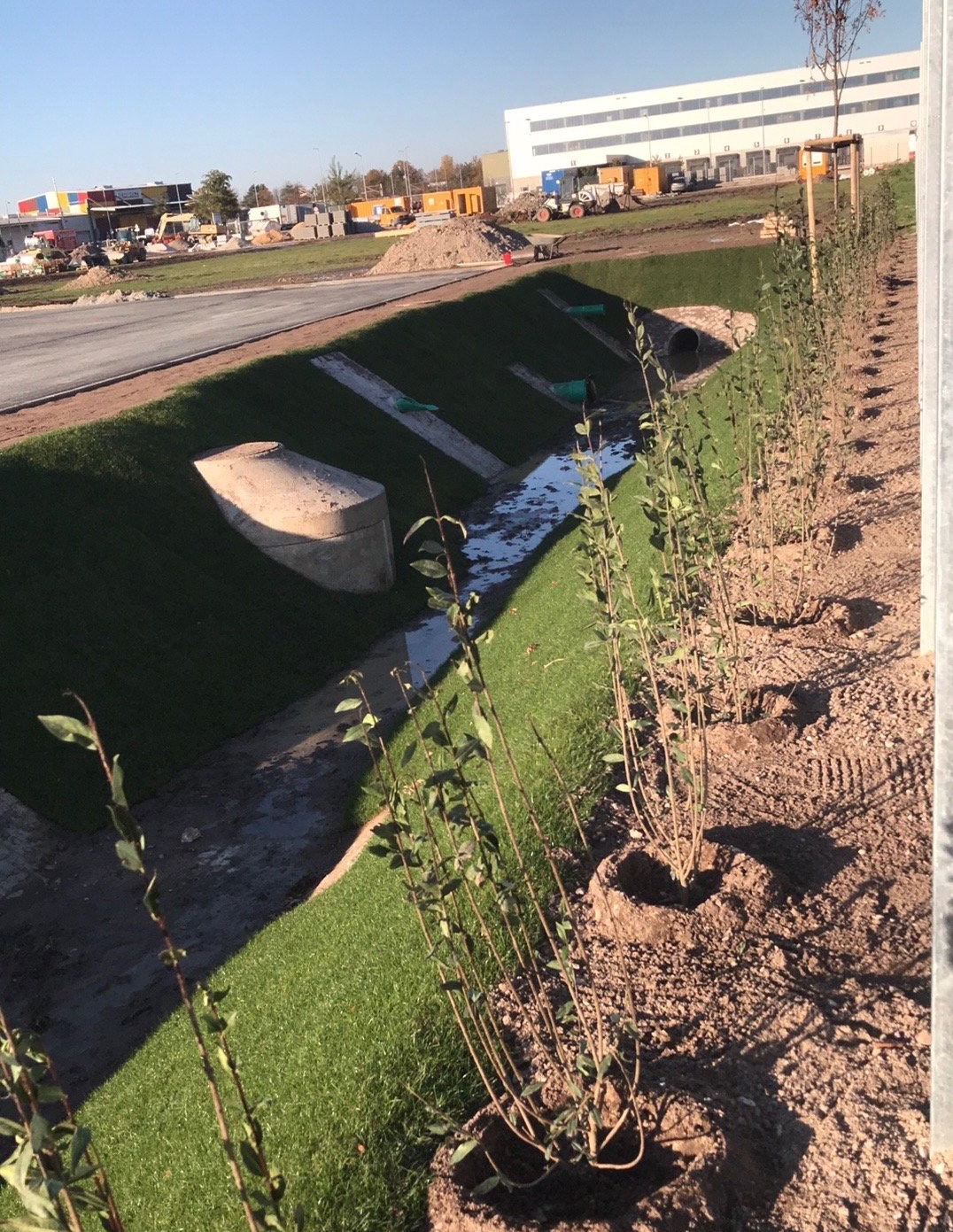 Trawa z rolki + krzewy