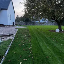 Świeżo skoszony trawnik z wyraźnymi pasami, z drzewem w tle i białymi kulami dekoracyjnymi. Fragment domu z szarą elewacją i kamienistym podłożem.