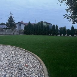 Fancy-Garden Mateusz Kotas - Zadbany trawnik z równo przystrzyżoną trawą, obrzeża z kamieni i szpaler smukłych drzew iglastych w tle, na tle domów jednorodzinnych w pochmurny dzień.
