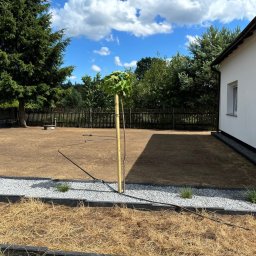 Fancy-Garden Mateusz Kotas - Wysokiej Klasy Nasadzanie Drzew Kłobuck
