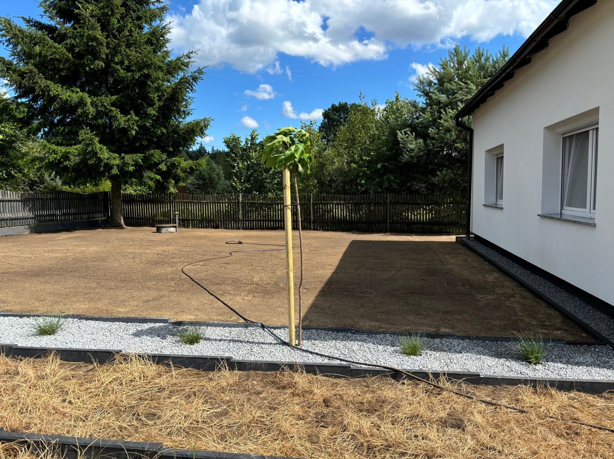 Widok na ogród po założeniu trawnika, z młodym drzewkiem podpartym palikiem i obrzeżem z kamyków. W tle dom z białymi ścianami i drewniany płot.