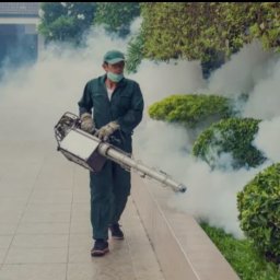 Dezynsekcja i deratyzacja Latowicz 2