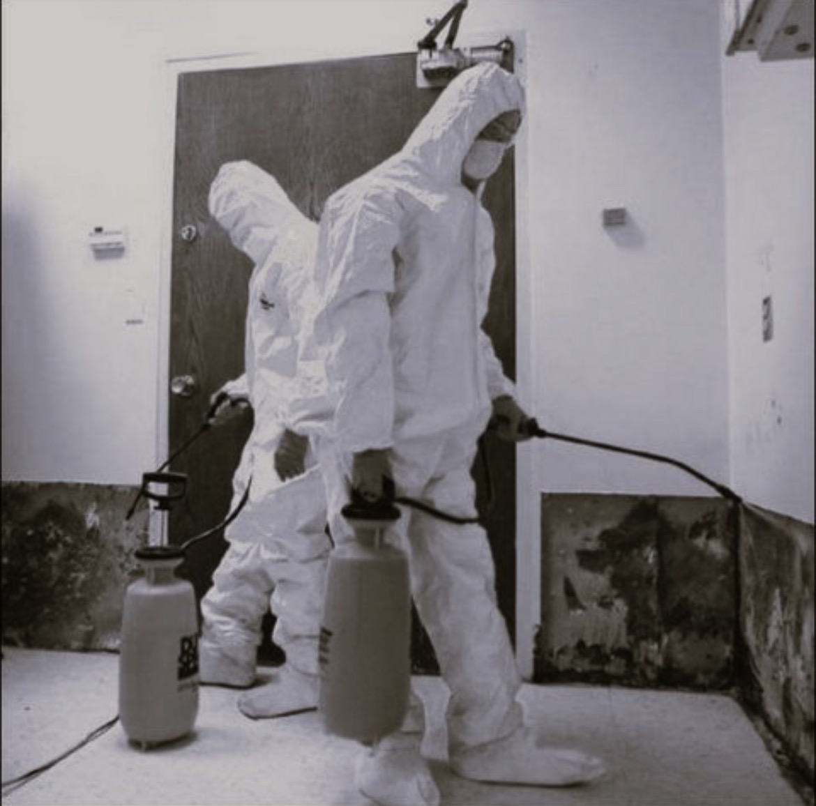 Pracownicy w kombinezonach ochronnych opryskują ścianę z widocznymi śladami wilgoci i pleśni, używając profesjonalnego sprzętu do dezynfekcji. Ujęcie w odcieniach szarości.