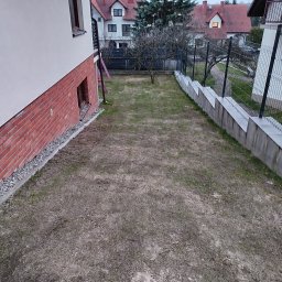 Pielęgnacja trawnika