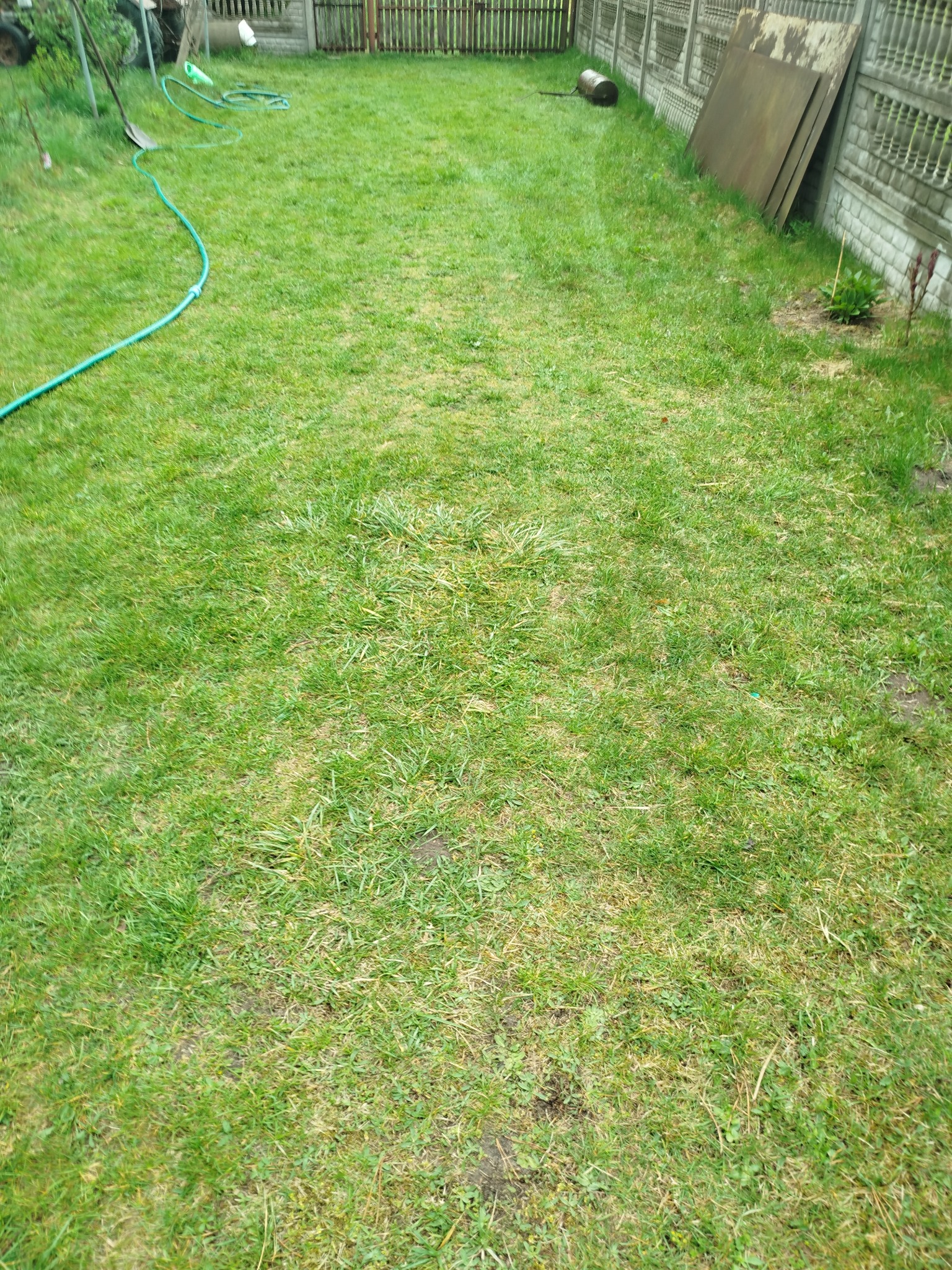 Trawnik po zabiegach wertykulacji, aeracji i piaskowania