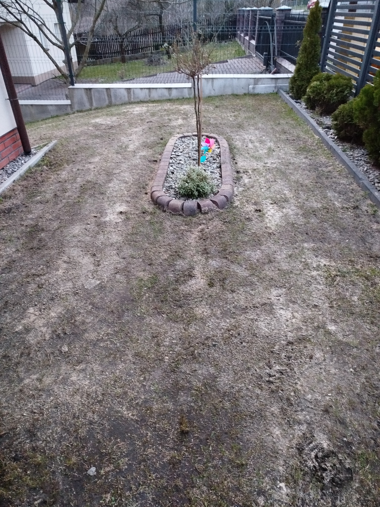 Pielęgnacja trawnika: - koszenie wstępne - wertykulacja - aeracja - piaskowanie