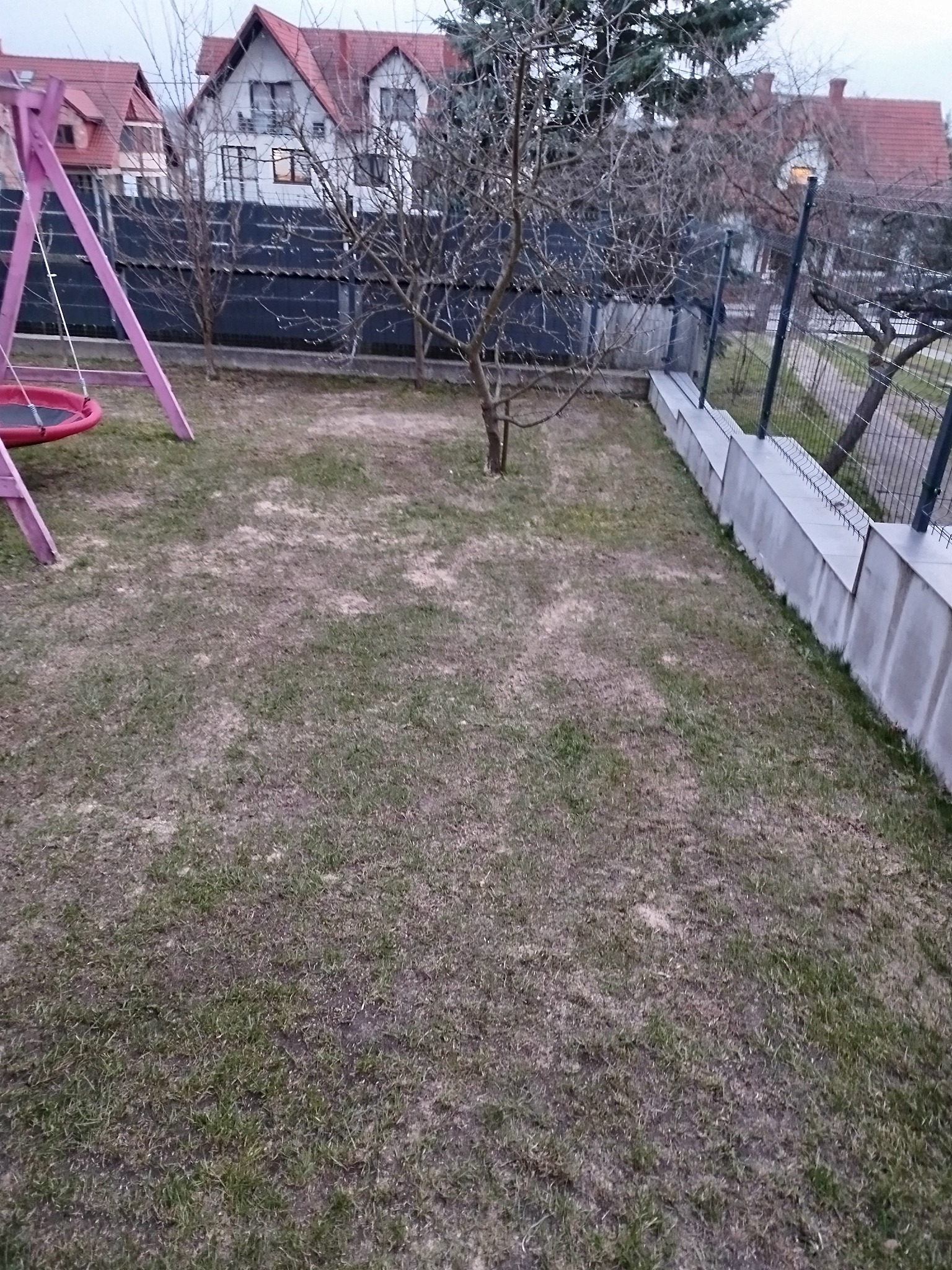 Widok na zaniedbany trawnik z placem zabaw i drzewem w ogrodzie. W tle domy jednorodzinne i ogrodzenie. Wymaga koszenia i pielęgnacji.