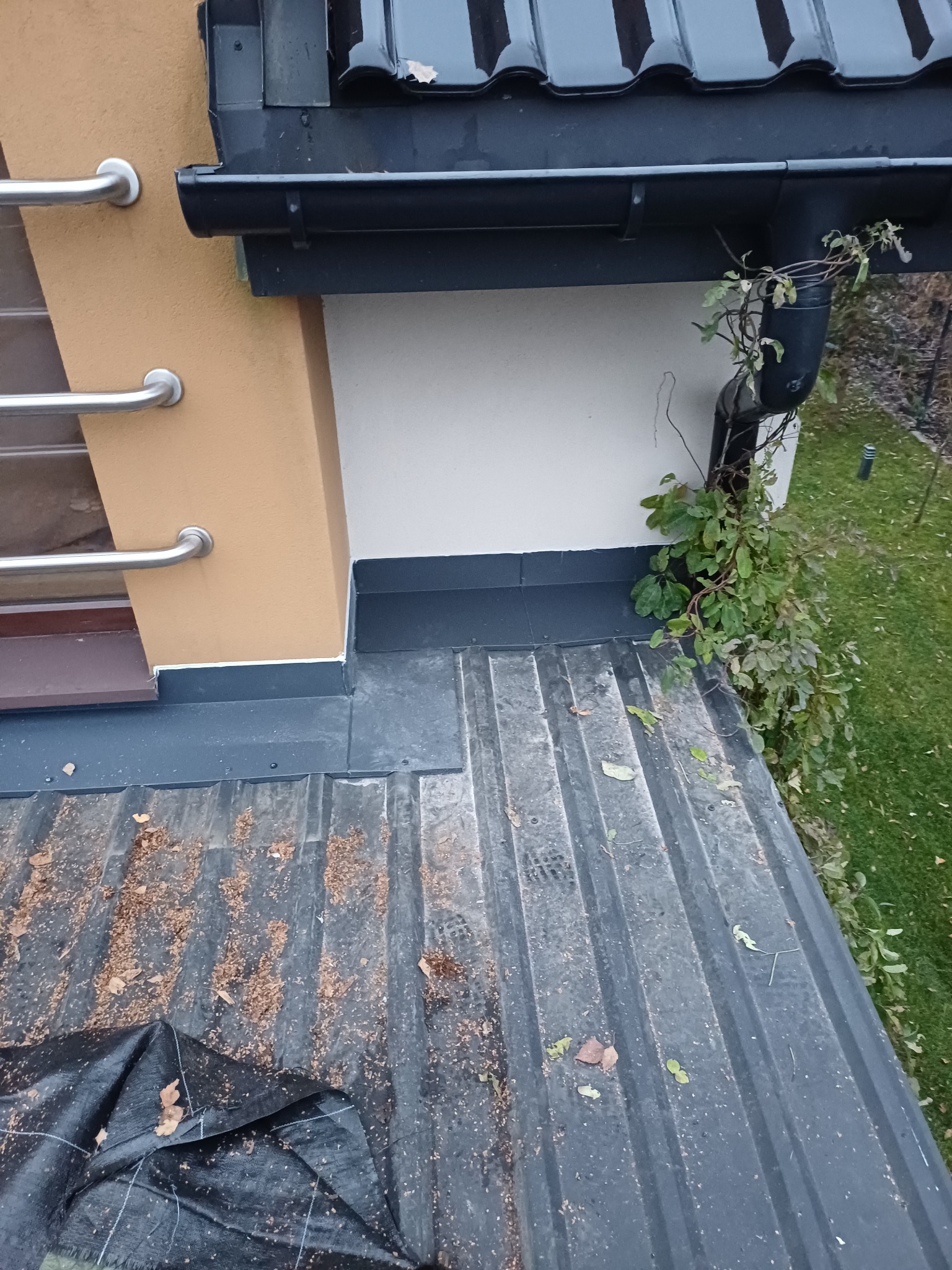 Metalowy dach z rynną, na której rosną pnącza. Widoczne liście i fragment elewacji budynku. Ujęcie z góry, podkreślające detale dachu i otoczenia.