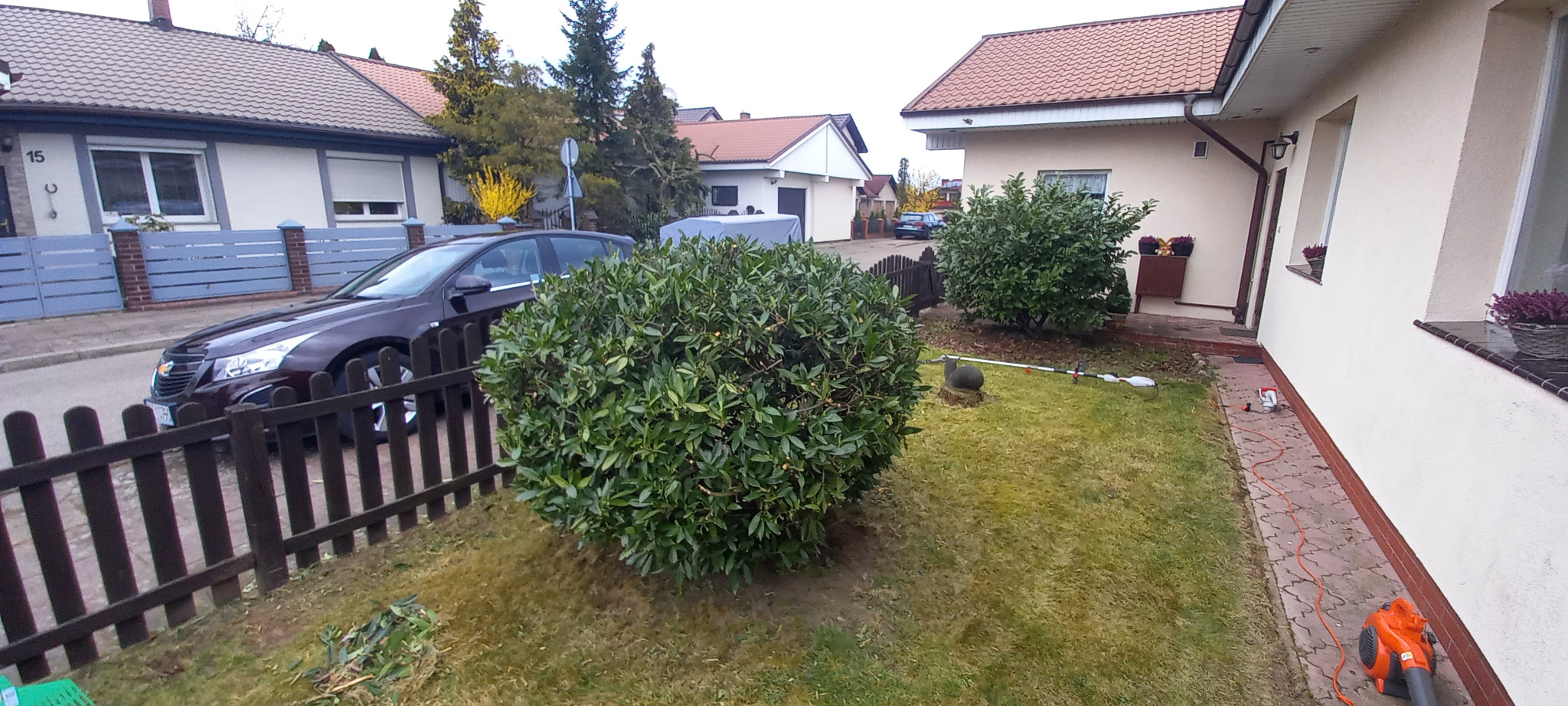 formowanie laurowiśni