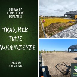 Trawa z rolki Karpin 3