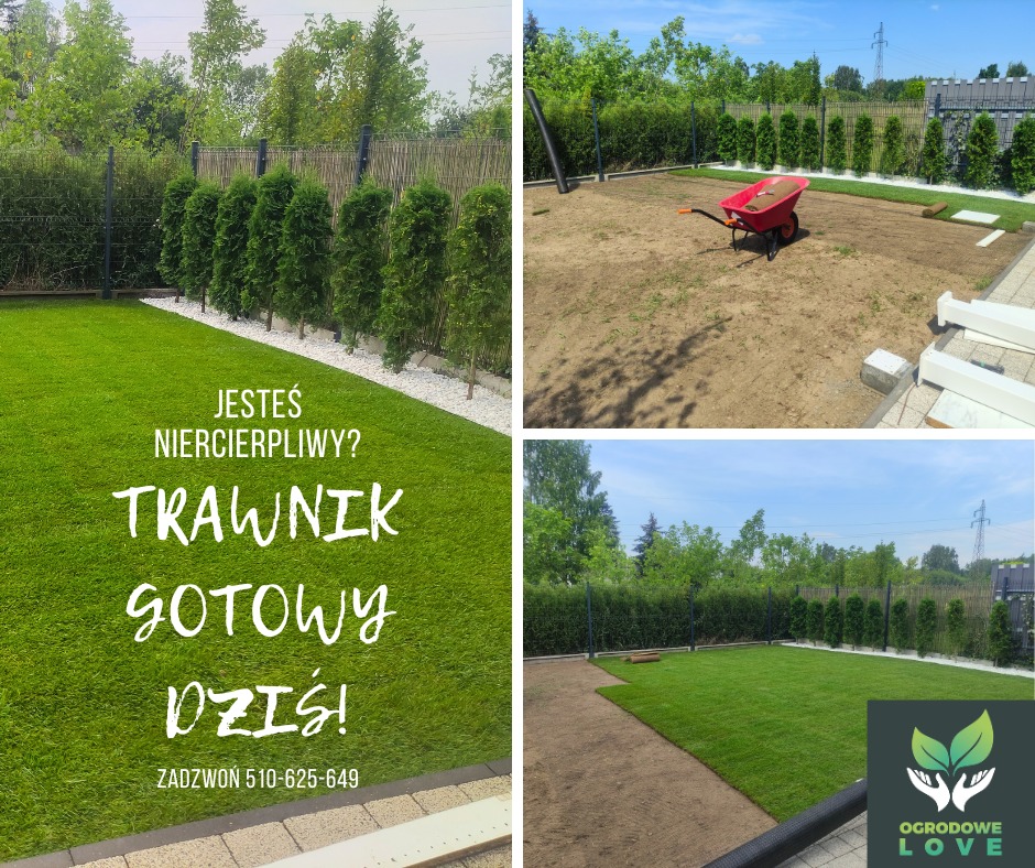 Montaż trawy z rolki: widok na ogród z fragmentami trawnika przed i po ułożeniu, taczka z ziemią w tle. Reklama: 'Trawnik gotowy dziś!'.