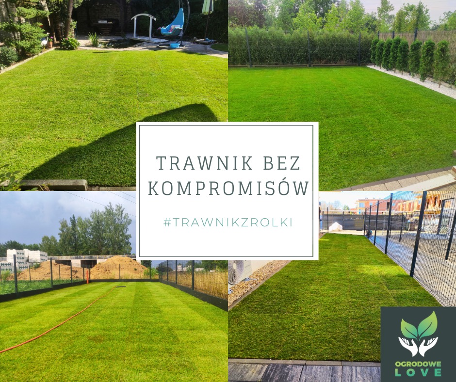 Kolaż prezentujący gładkie, zielone trawniki z rolki w różnych aranżacjach ogrodowych, z hasłem 'Trawnik bez kompromisów' i logo firmy Ogrodowe Love.