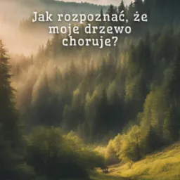 Okładka książki Rafała Jaworowskiego z pytaniem: Jak rozpoznać, że moje drzewo choruje? Tło: mglisty las iglasty z ścieżką. U dołu logo RHJ Environment Sp. z o.o.