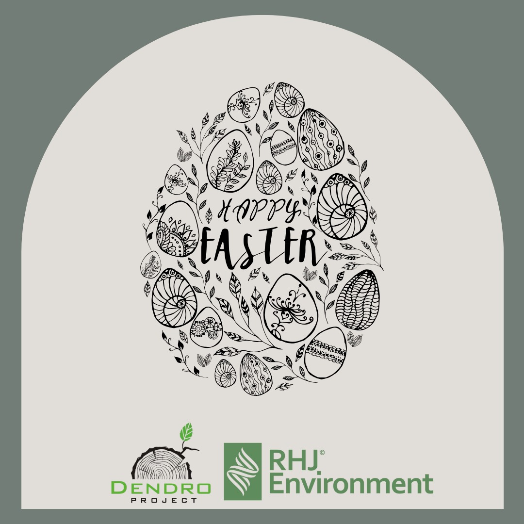 Grafika wektorowa z motywem jajek wielkanocnych i napisem 'Happy Easter', umieszczona nad logotypami firm Dendro Project i RHJ Environment.