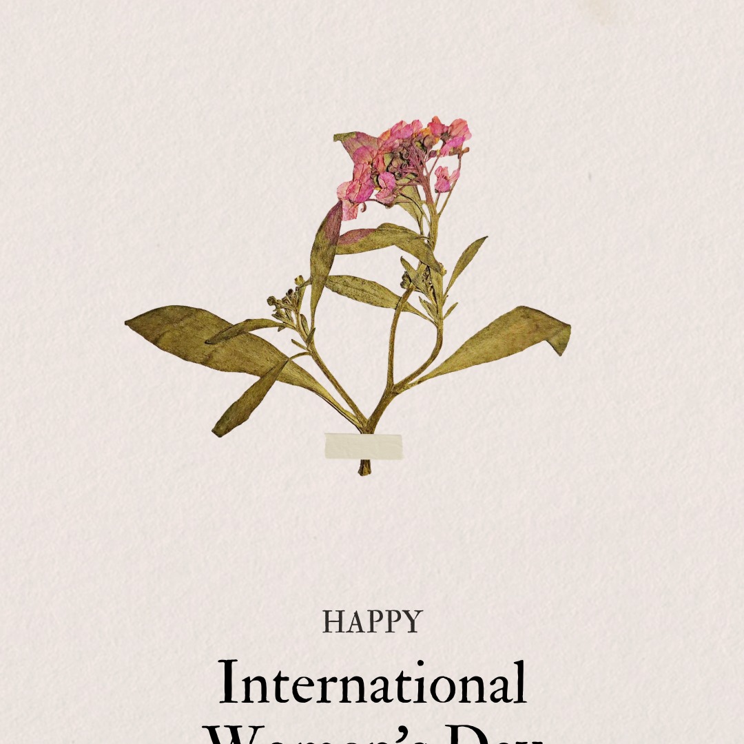 Delikatny, zasuszony kwiat z różowymi płatkami, przyklejony taśmą, na kremowym tle z napisem 'Happy International Women's Day'.