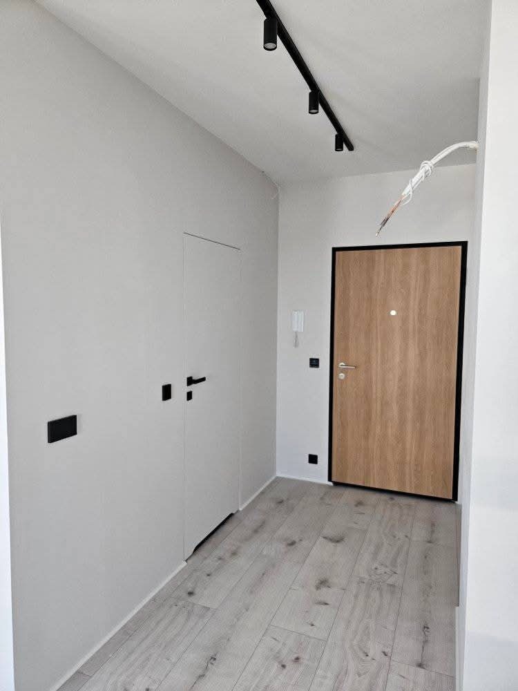 Minimalistyczny przedpokój z drewnianą podłogą i drzwiami w czarnej ramie, oświetlony czarną listwą z reflektorami. Białe ściany i ukryte szafy wnękowe.