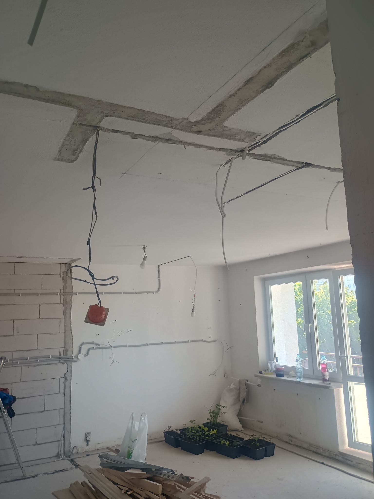 Wnętrze w trakcie remontu: surowy strop, instalacje elektryczne na ścianach, okno z widokiem na zieleń. Na podłodze materiały budowlane i sadzonki roślin w doniczkach.