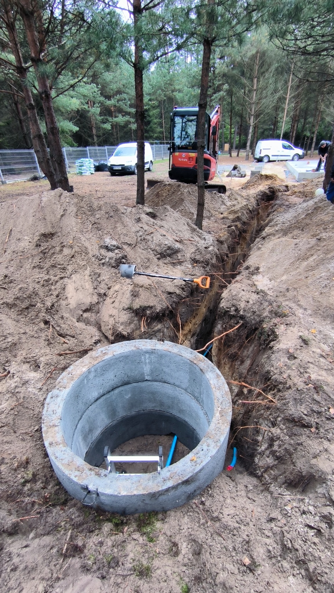 Betonowy krąg szamba w wykopie na działce z mini koparką Kubota w tle. Widoczne drzewa i białe busy. Wewnątrz kręgu drabinka i niebieskie rury.